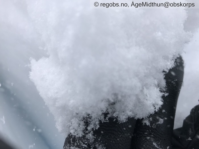 Image Of Avalanche Danger Assessment