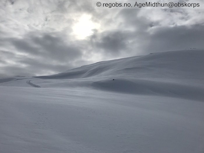 Image Of Avalanche Danger Assessment