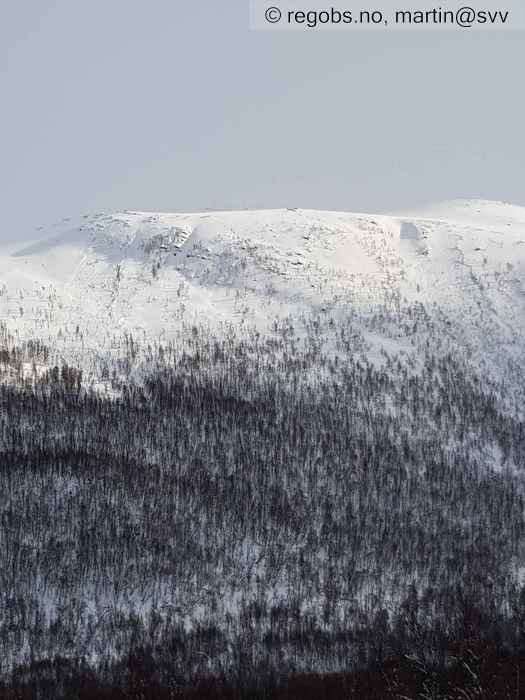 Image Of Avalanche Activity