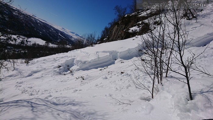 Image Of Avalanche Observation