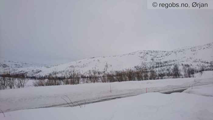 Image Of Avalanche Activity