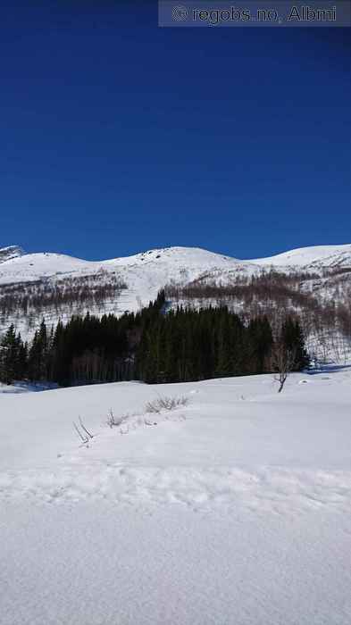 Image Of Avalanche Activity