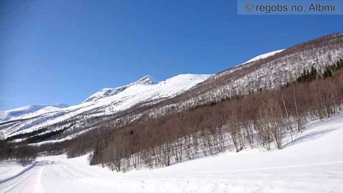 Image Of Avalanche Activity