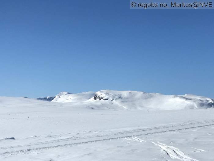 Bilde Av Snødekke