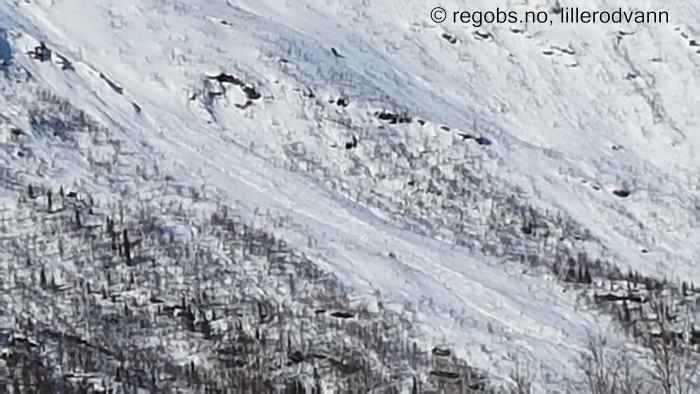 Image Of Avalanche Activity