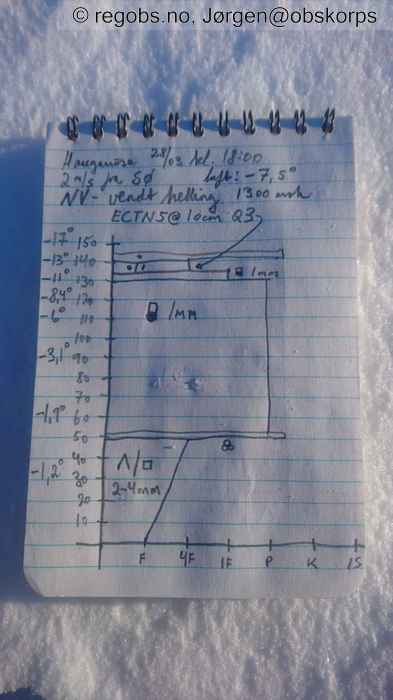 Image Of Snow Profile