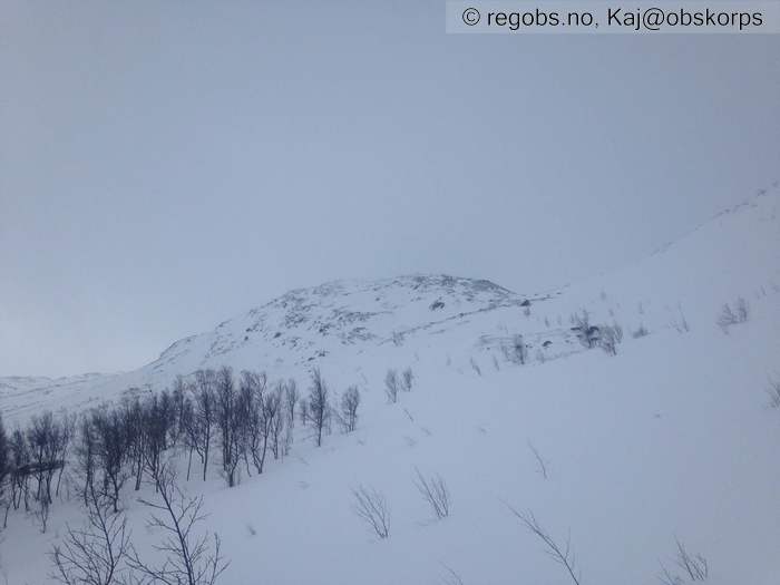 Image Of Snow Cover