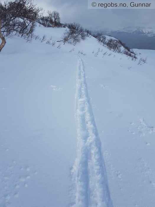 Bilde Av Snødekke