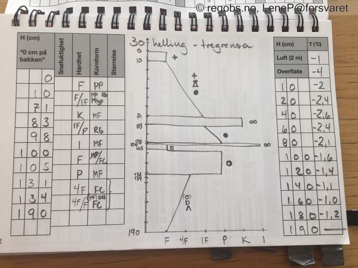 Image Of Snow Profile