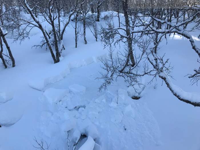 Image Of Avalanche Observation