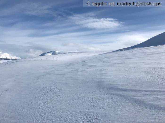 Bilde Av Snødekke