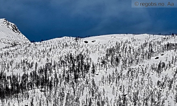 Image Of Avalanche Observation