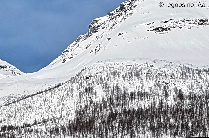 Image Of Avalanche Observation