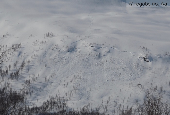 Image Of Avalanche Observation