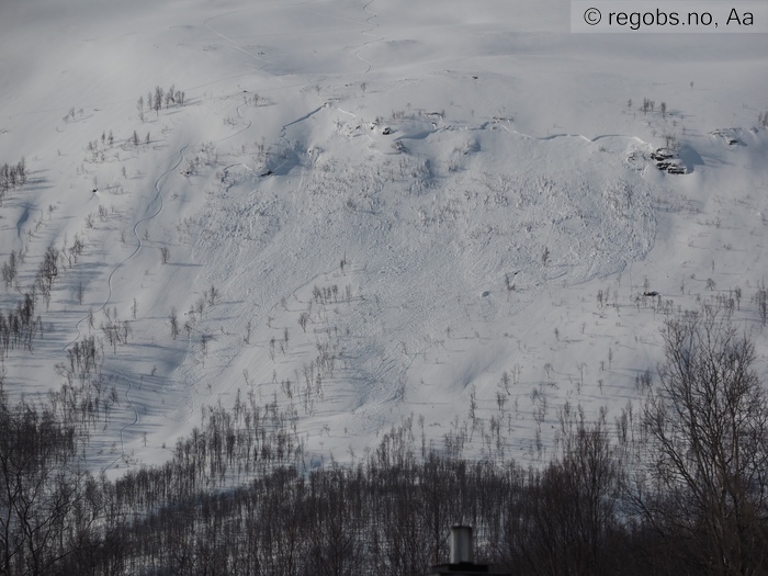 Image Of Avalanche Observation