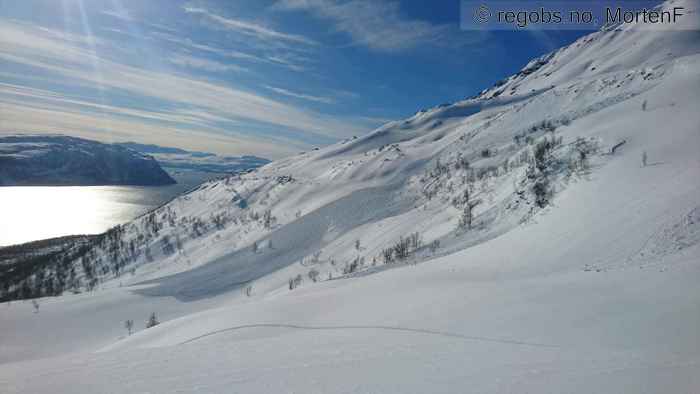 Image Of Avalanche Observation