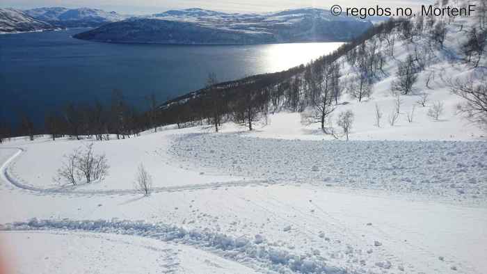 Image Of Avalanche Observation