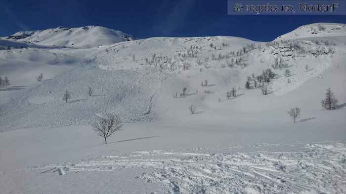 Image Of Avalanche Observation