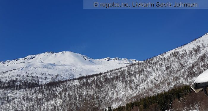 Image Of Avalanche Activity