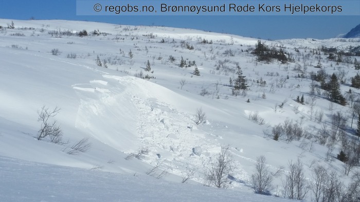 Image Of Avalanche Danger Assessment