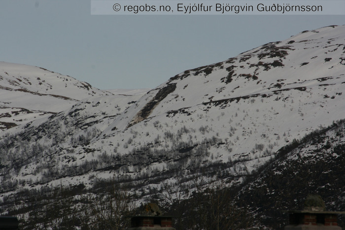 Image Of Avalanche Activity