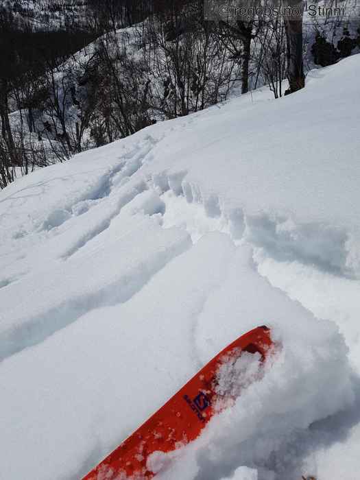 Image Of Avalanche Problems