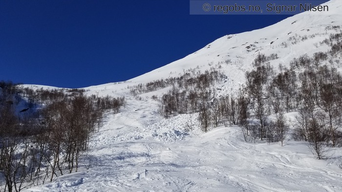 Image Of Avalanche Observation