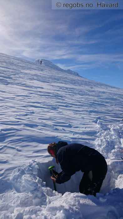 Image Of Snow Cover