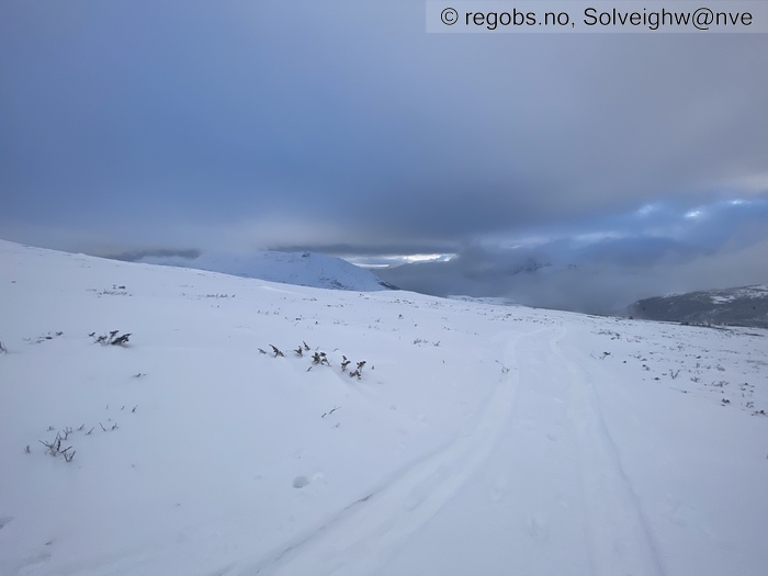 Image Of Avalanche Activity