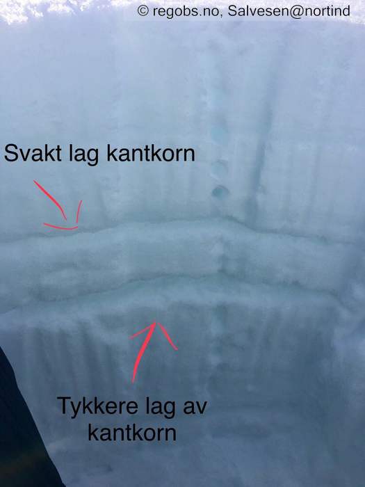 Bilde Av Snøprofil