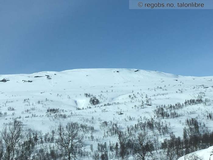 Image Of Avalanche Activity