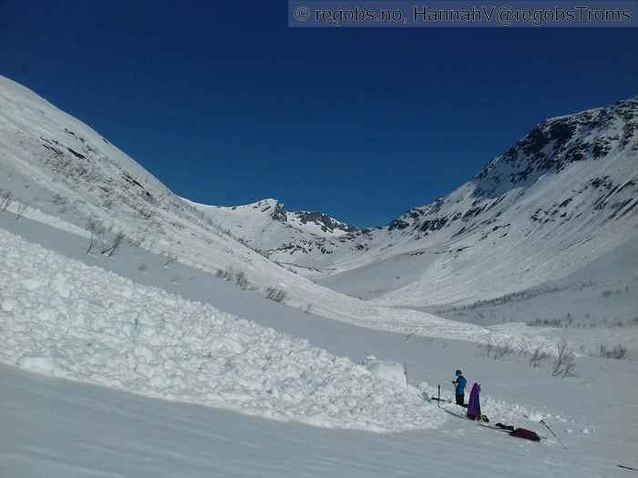 Image Of Avalanche Activity