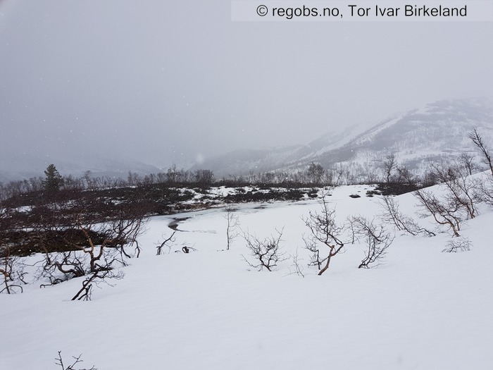 Image Of Snow Cover