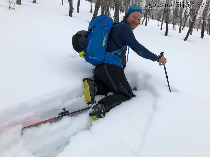 Image Of Snow Cover