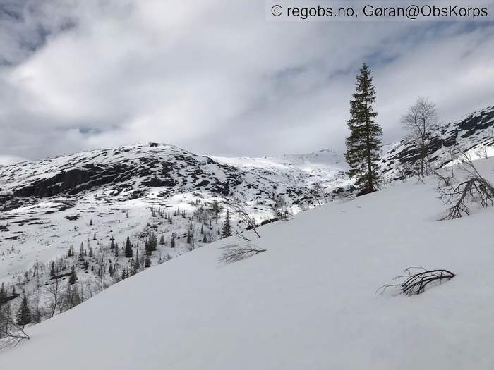 Image Of Snow Cover