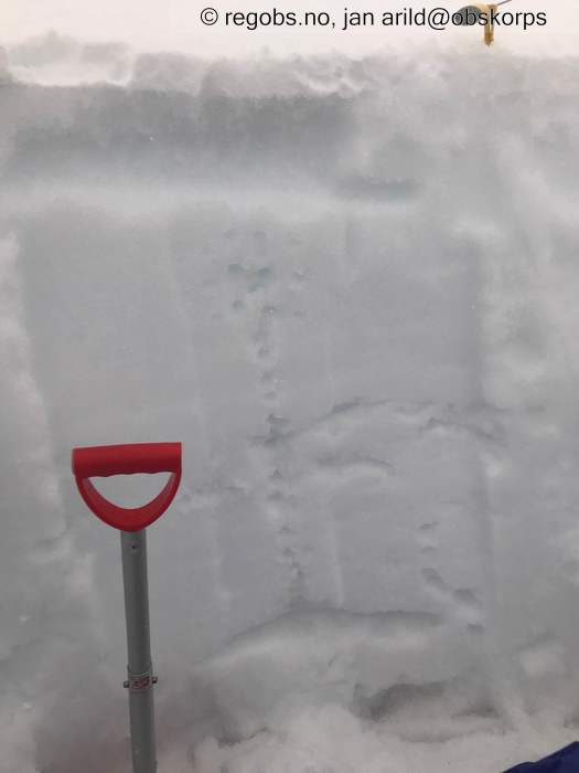 Image Of Snow Profile