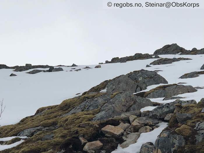 Image Of Avalanche Danger Assessment