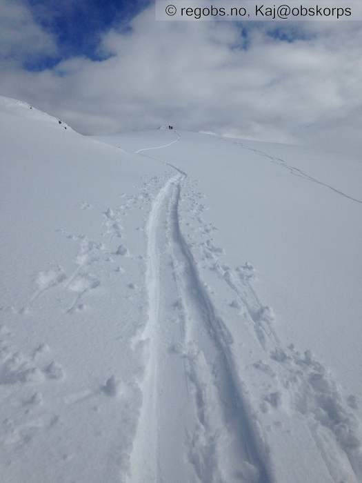 Image Of Snow Cover