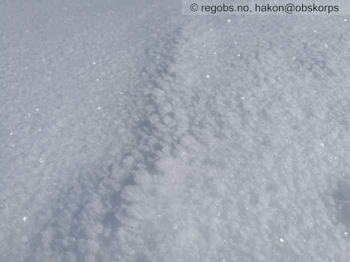 Image Of Snow Cover