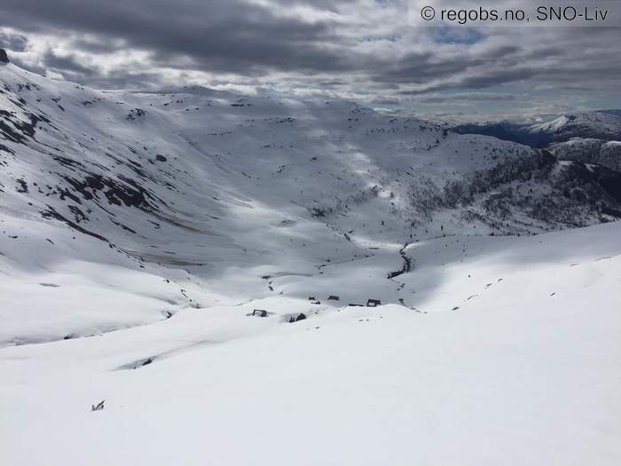 Image Of Avalanche Observation