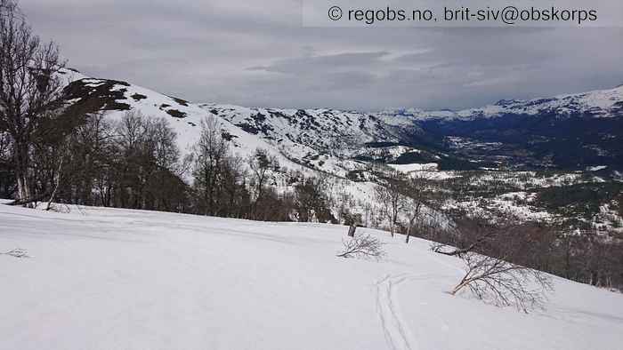 Bilde Av Snødekke