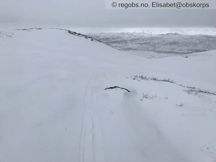 Bilde Av Snødekke