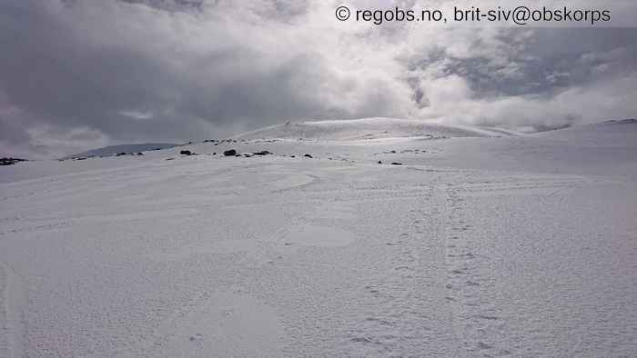 Image Of Snow Cover