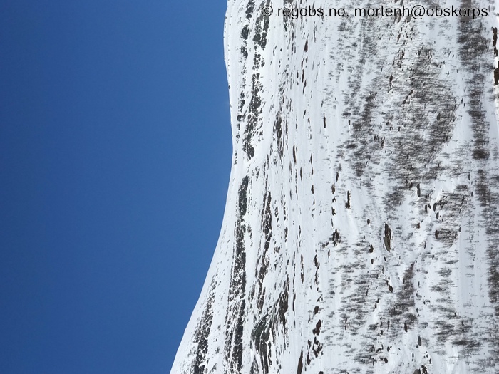 Image Of Snow Cover