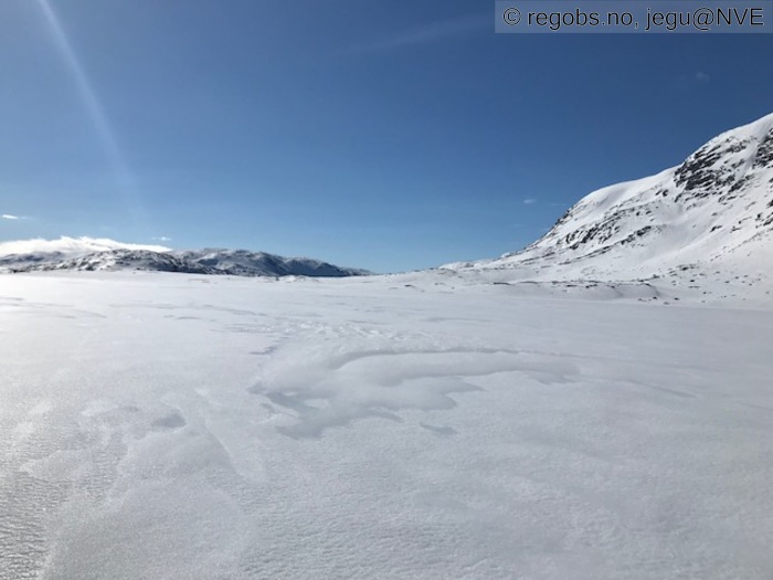 Image Of Snow Cover