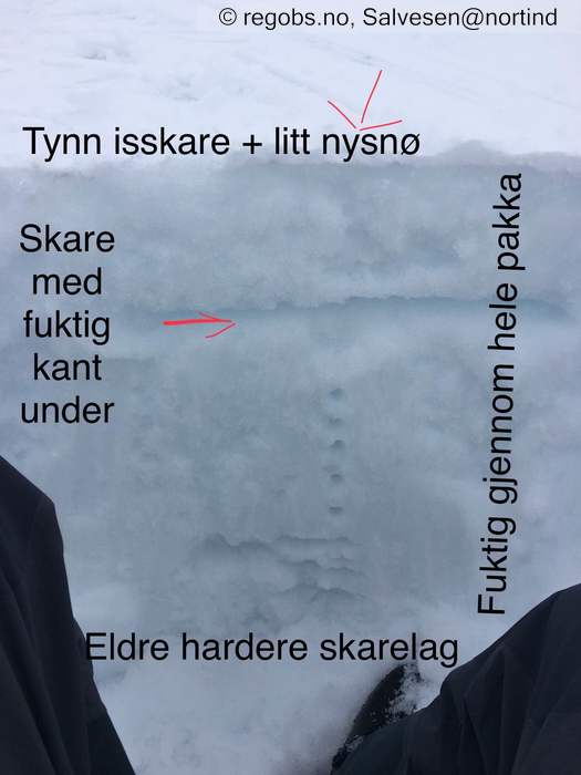 Bilde Av Snøprofil