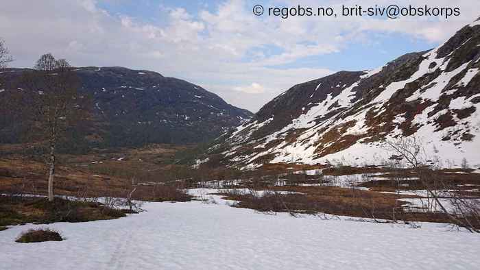 Image Of Snow Cover