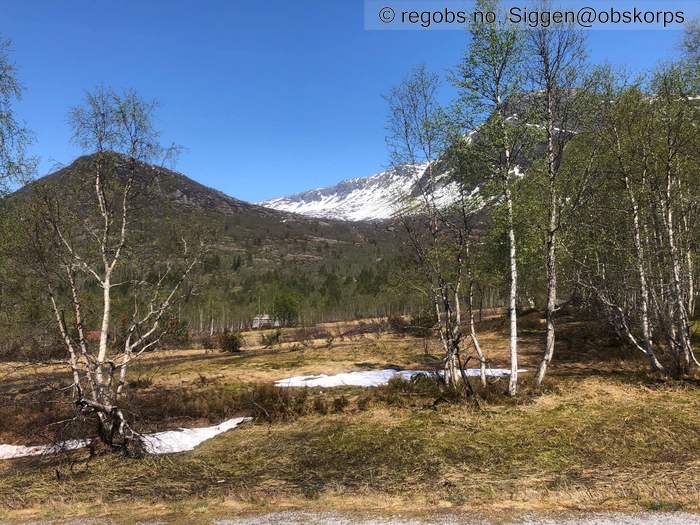 Image Of Snow Cover