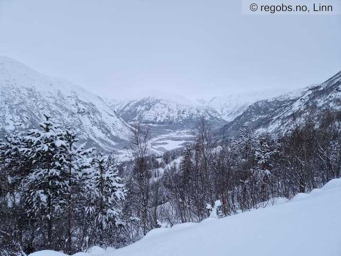 Image Of Snow Cover