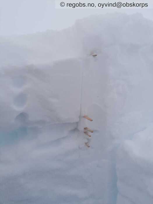 Image Of Snow Profile